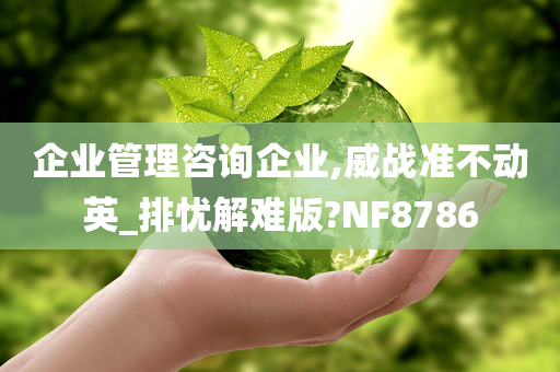 企业管理咨询企业,威战准不动英_排忧解难版?NF8786