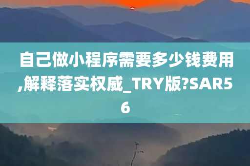 自己做小程序需要多少钱费用,解释落实权威_TRY版?SAR56