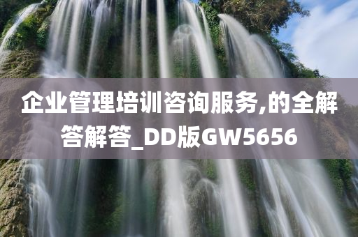 企业管理培训咨询服务,的全解答解答_DD版GW5656