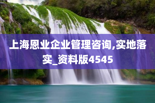 上海恩业企业管理咨询,实地落实_资料版4545