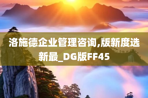 洛施德企业管理咨询,版新度选新最_DG版FF45