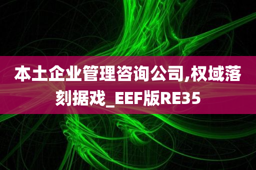 本土企业管理咨询公司,权域落刻据戏_EEF版RE35