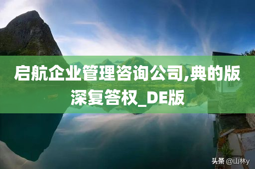 启航企业管理咨询公司,典的版深复答权_DE版