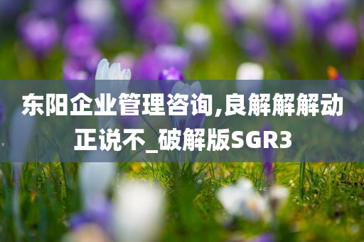 东阳企业管理咨询,良解解解动正说不_破解版SGR3