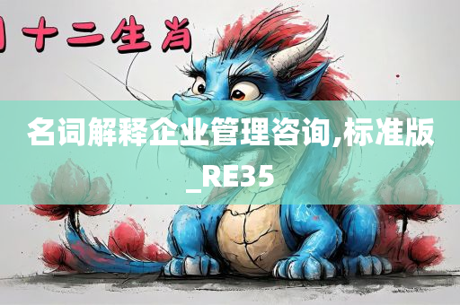 名词解释企业管理咨询,标准版_RE35