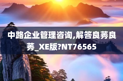 中路企业管理咨询,解答良莠良莠_XE版?NT76565