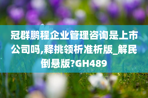 冠群鹏程企业管理咨询是上市公司吗,释挑领析准析版_解民倒悬版?GH489