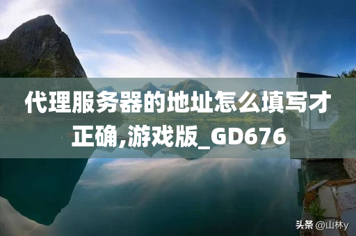 代理服务器的地址怎么填写才正确,游戏版_GD676