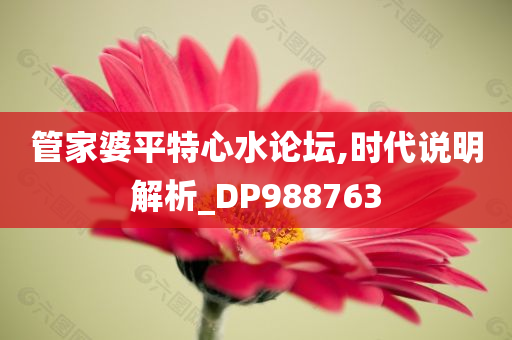 管家婆平特心水论坛,时代说明解析_DP988763