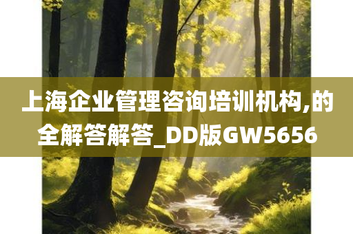 上海企业管理咨询培训机构,的全解答解答_DD版GW5656