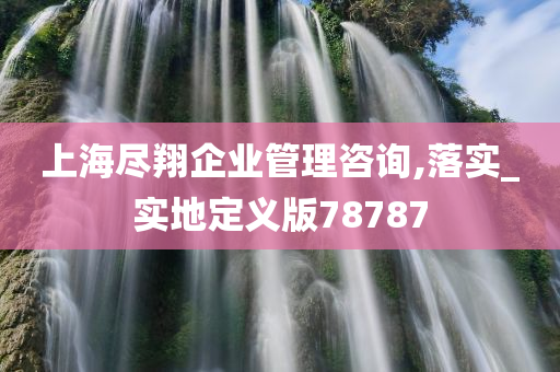 上海尽翔企业管理咨询,落实_实地定义版78787