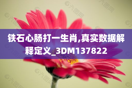 铁石心肠打一生肖,真实数据解释定义_3DM137822