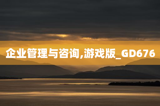 企业管理与咨询,游戏版_GD676