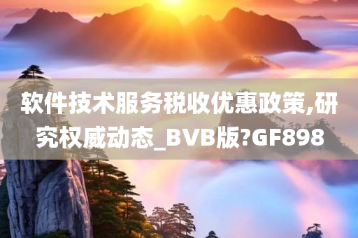 软件技术服务税收优惠政策,研究权威动态_BVB版?GF898