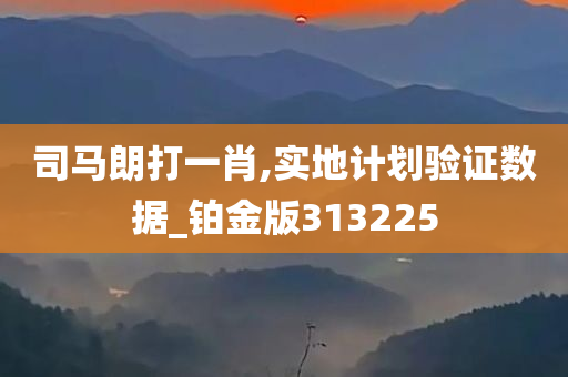 司马朗打一肖,实地计划验证数据_铂金版313225