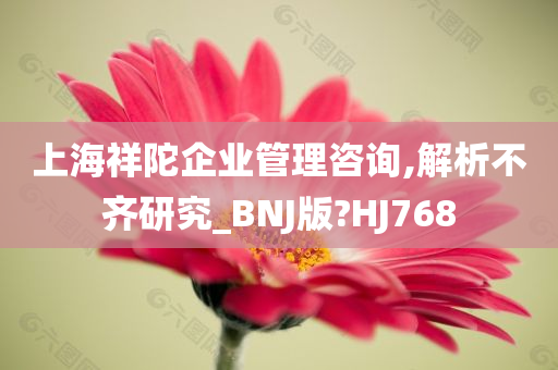 上海祥陀企业管理咨询,解析不齐研究_BNJ版?HJ768