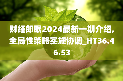 财经郎眼2024最新一期介绍,全局性策略实施协调_HT36.46.53