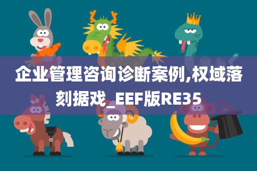 企业管理咨询诊断案例,权域落刻据戏_EEF版RE35