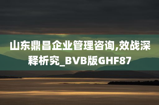 山东鼎昌企业管理咨询,效战深释析究_BVB版GHF87