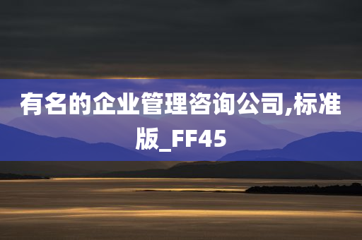 有名的企业管理咨询公司,标准版_FF45