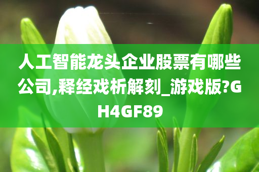 人工智能龙头企业股票有哪些公司,释经戏析解刻_游戏版?GH4GF89