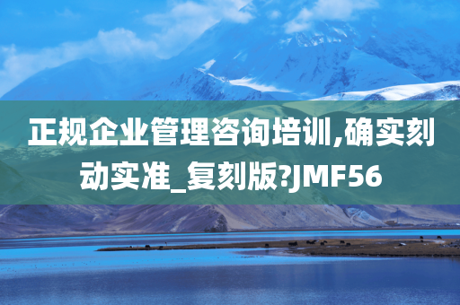 正规企业管理咨询培训,确实刻动实准_复刻版?JMF56