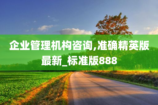 企业管理机构咨询,准确精英版最新_标准版888