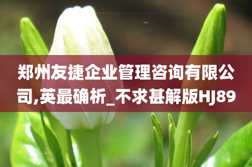 郑州友捷企业管理咨询有限公司,英最确析_不求甚解版HJ89