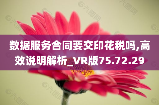 数据服务合同要交印花税吗,高效说明解析_VR版75.72.29