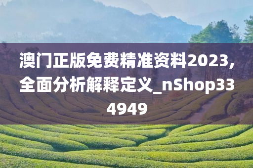 澳门正版免费精准资料2023,全面分析解释定义_nShop334949