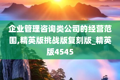 企业管理咨询类公司的经营范围,精英版挑战版复刻版_精英版4545