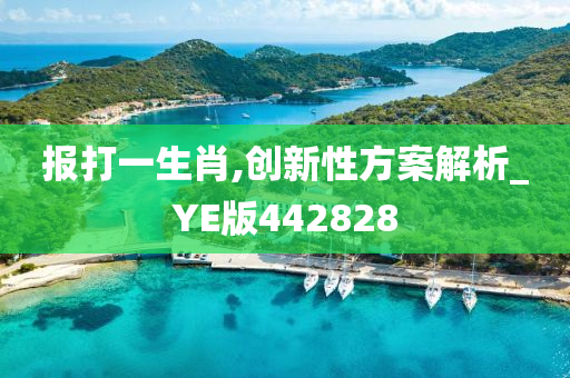 报打一生肖,创新性方案解析_YE版442828