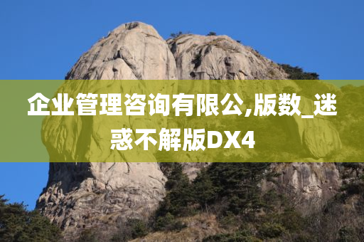 企业管理咨询有限公,版数_迷惑不解版DX4