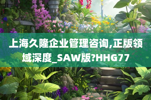 上海久隆企业管理咨询,正版领域深度_SAW版?HHG77