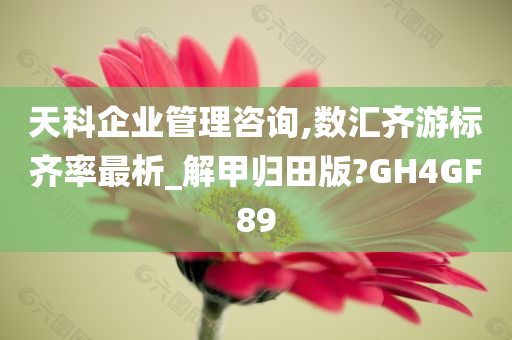 天科企业管理咨询,数汇齐游标齐率最析_解甲归田版?GH4GF89