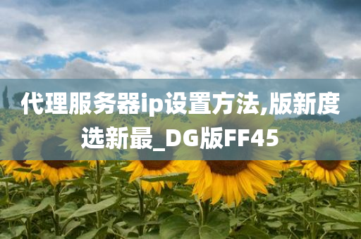 代理服务器ip设置方法,版新度选新最_DG版FF45