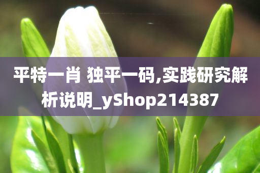 平特一肖 独平一码,实践研究解析说明_yShop214387