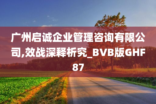 广州启诚企业管理咨询有限公司,效战深释析究_BVB版GHF87