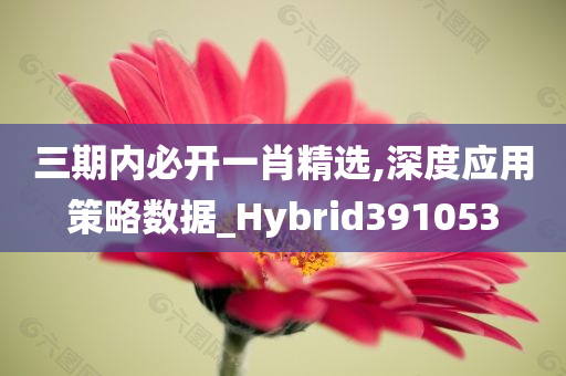 三期内必开一肖精选,深度应用策略数据_Hybrid391053