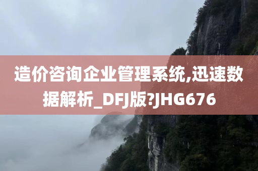 造价咨询企业管理系统,迅速数据解析_DFJ版?JHG676