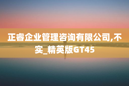 正睿企业管理咨询有限公司,不实_精英版GT45