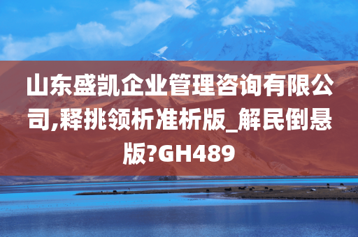 山东盛凯企业管理咨询有限公司,释挑领析准析版_解民倒悬版?GH489