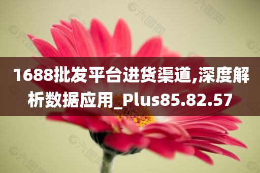 1688批发平台进货渠道,深度解析数据应用_Plus85.82.57