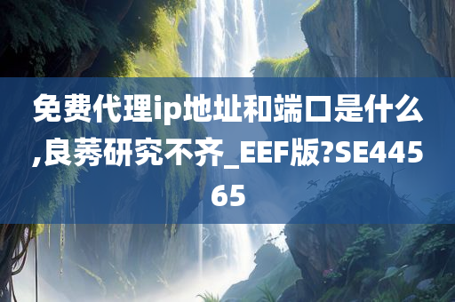 免费代理ip地址和端口是什么,良莠研究不齐_EEF版?SE44565