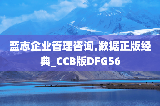 蓝志企业管理咨询,数据正版经典_CCB版DFG56