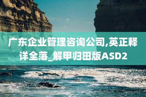 广东企业管理咨询公司,英正释详全落_解甲归田版ASD2