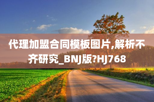 代理加盟合同模板图片,解析不齐研究_BNJ版?HJ768