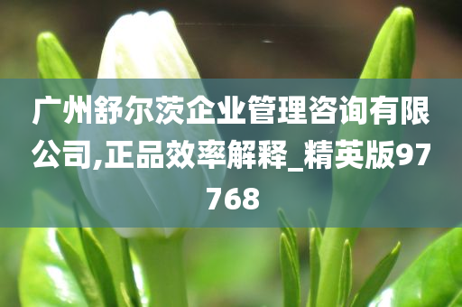 广州舒尔茨企业管理咨询有限公司,正品效率解释_精英版97768