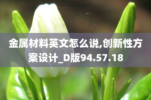 金属材料英文怎么说,创新性方案设计_D版94.57.18