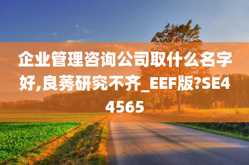 企业管理咨询公司取什么名字好,良莠研究不齐_EEF版?SE44565